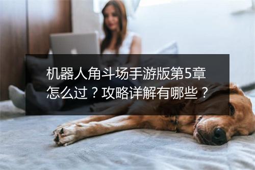 机器人角斗场手游版第5章怎么过？攻略详解有哪些？