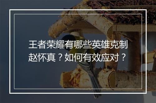 王者荣耀有哪些英雄克制赵怀真？如何有效应对？