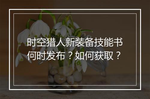 时空猎人新装备技能书何时发布？如何获取？