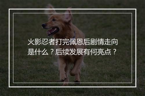 火影忍者打完佩恩后剧情走向是什么？后续发展有何亮点？