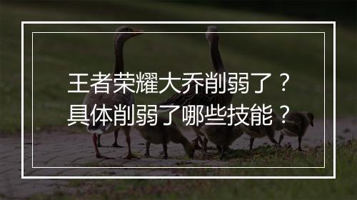 王者荣耀大乔削弱了？具体削弱了哪些技能？