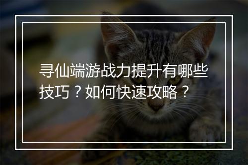 寻仙端游战力提升有哪些技巧？如何快速攻略？