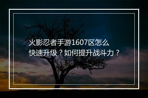 火影忍者手游1607区怎么快速升级？如何提升战斗力？