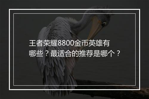 王者荣耀8800金币英雄有哪些？最适合的推荐是哪个？