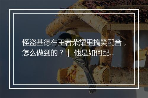 怪盗基德在王者荣耀里搞笑配音，怎么做到的？｜ 他是如何配音的？