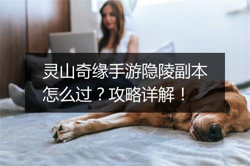 灵山奇缘手游隐陵副本怎么过？攻略详解！