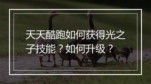 天天酷跑如何获得光之子技能？如何升级？