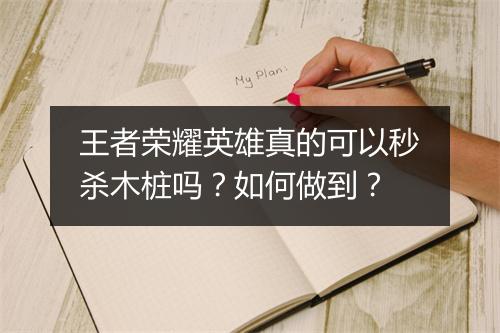 王者荣耀英雄真的可以秒杀木桩吗？如何做到？