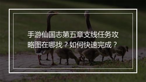 手游仙国志第五章支线任务攻略图在哪找？如何快速完成？