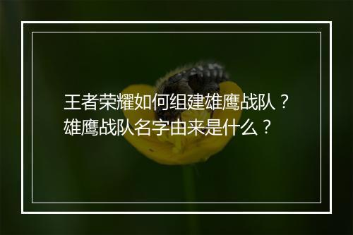 王者荣耀如何组建雄鹰战队？雄鹰战队名字由来是什么？