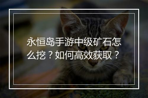 永恒岛手游中级矿石怎么挖?如何高效获取?