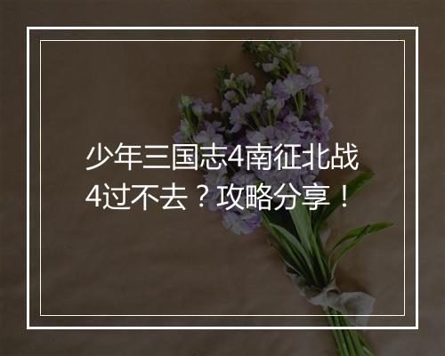 少年三国志4南征北战4过不去？攻略分享！