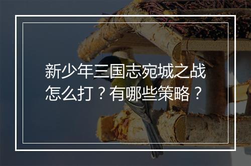 新少年三国志宛城之战怎么打？有哪些策略？