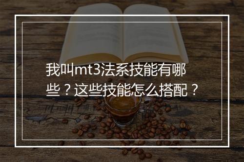 我叫mt3法系技能有哪些？这些技能怎么搭配？