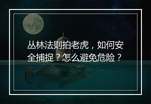 丛林法则拍老虎,如何安全捕捉?怎么避免危险?