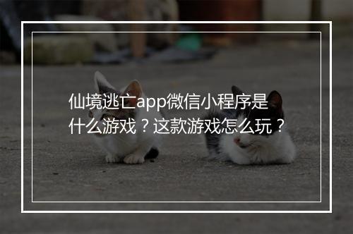 仙境逃亡app微信小程序是什么游戏?这款游戏怎么玩?