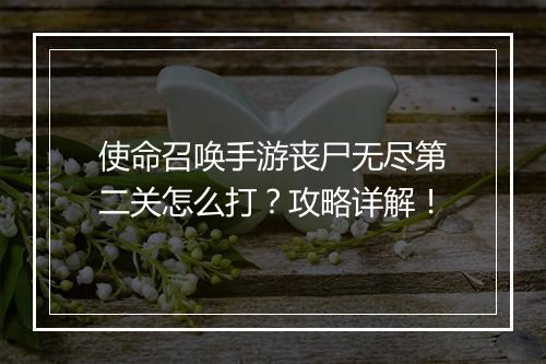 使命召唤手游丧尸无尽第二关怎么打？攻略详解！