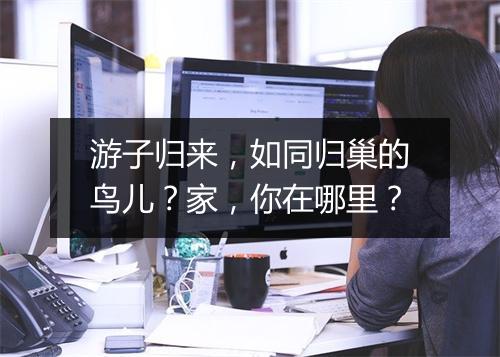游子归来，如同归巢的鸟儿？家，你在哪里？