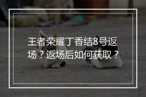 王者荣耀丁香结8号返场？返场后如何获取？