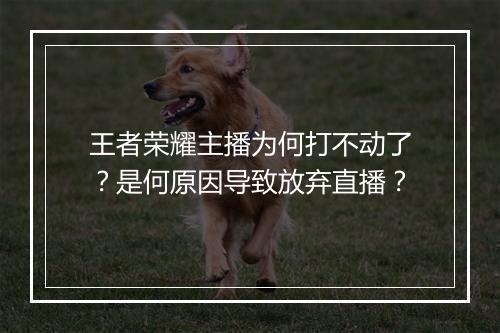 王者荣耀主播为何打不动了？是何原因导致放弃直播？