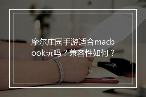 摩尔庄园手游适合macbook玩吗?兼容性如何?