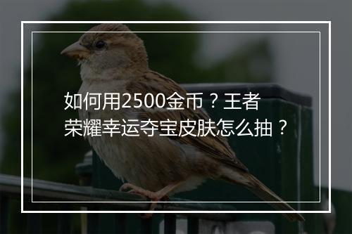 如何用2500金币？王者荣耀幸运夺宝皮肤怎么抽？