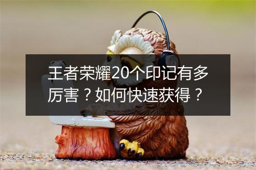 王者荣耀20个印记有多厉害?如何快速获得?