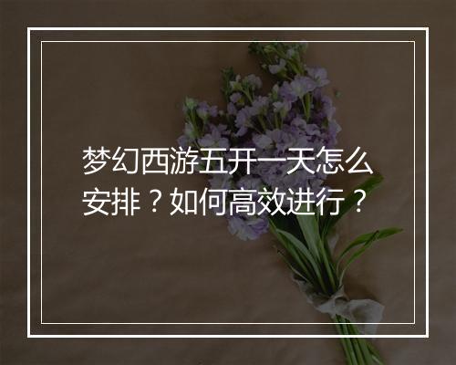 梦幻西游五开一天怎么安排？如何高效进行？