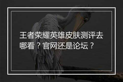 王者荣耀英雄皮肤测评去哪看？官网还是论坛？