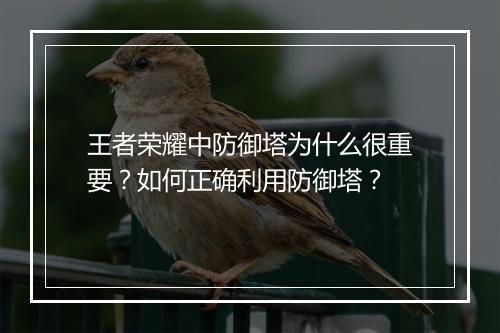王者荣耀中防御塔为什么很重要？如何正确利用防御塔？