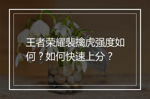 王者荣耀裴擒虎强度如何？如何快速上分？