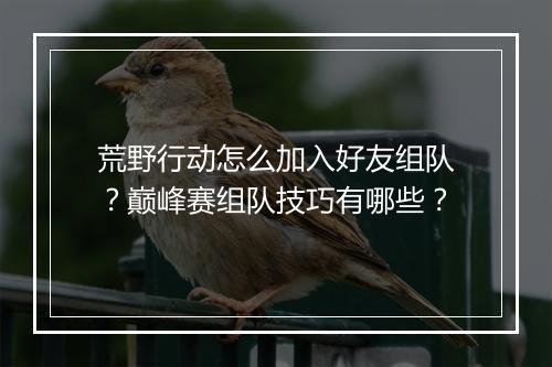 荒野行动怎么加入好友组队？巅峰赛组队技巧有哪些？