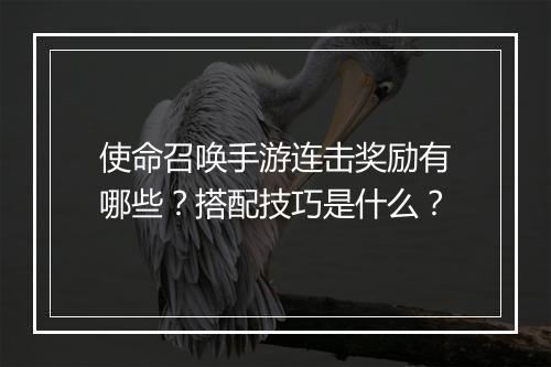 使命召唤手游连击奖励有哪些？搭配技巧是什么？