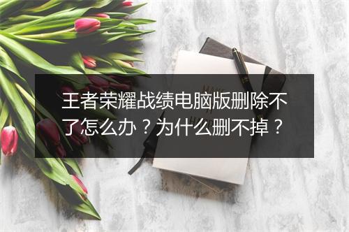 王者荣耀战绩电脑版删除不了怎么办？为什么删不掉？