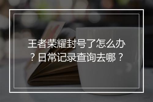 王者荣耀封号了怎么办？日常记录查询去哪？