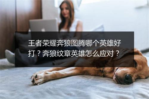 王者荣耀奔狼图腾哪个英雄好打?奔狼纹章英雄怎么应对?