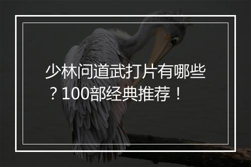 少林问道武打片有哪些？100部经典推荐！