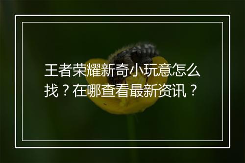 王者荣耀新奇小玩意怎么找？在哪查看最新资讯？