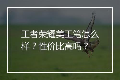 王者荣耀美工笔怎么样？性价比高吗？