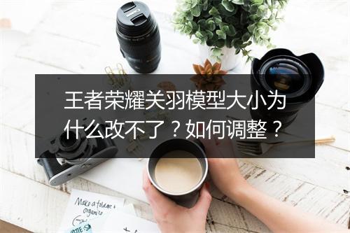 王者荣耀关羽模型大小为什么改不了?如何调整?