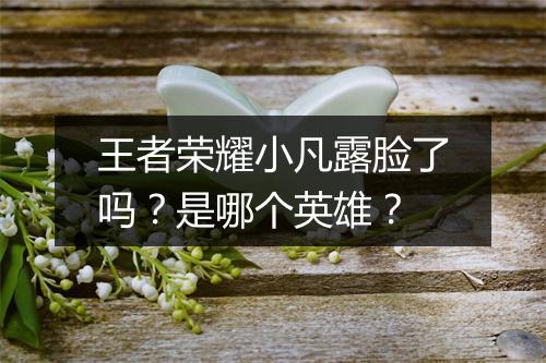 王者荣耀小凡露脸了吗？是哪个英雄？