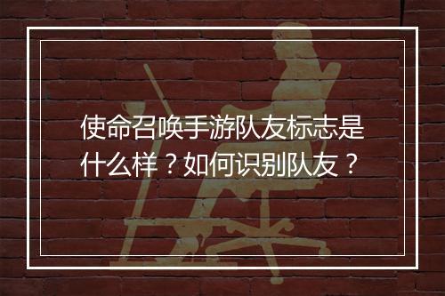 使命召唤手游队友标志是什么样？如何识别队友？
