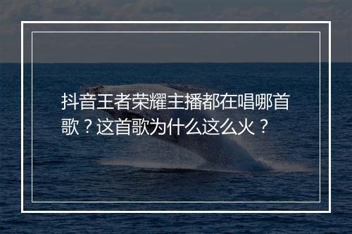 抖音王者荣耀主播都在唱哪首歌？这首歌为什么这么火？