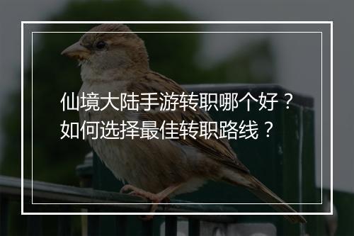 仙境大陆手游转职哪个好？如何选择最佳转职路线？