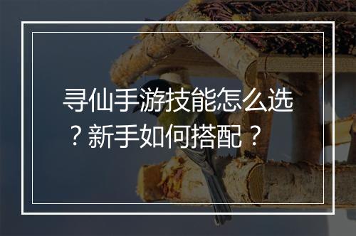寻仙手游技能怎么选？新手如何搭配？