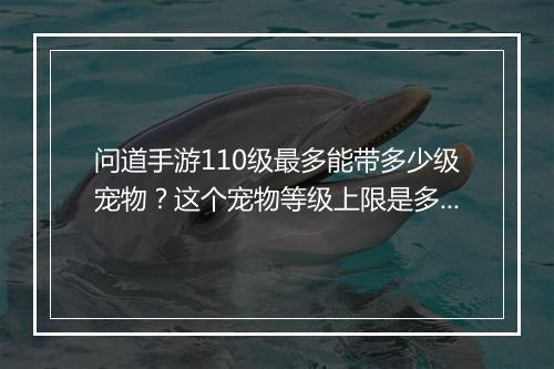 问道手游110级最多能带多少级宠物？这个宠物等级上限是多少？