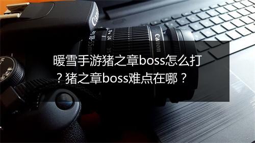 暖雪手游猪之章boss怎么打？猪之章boss难点在哪？