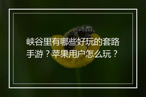 峡谷里有哪些好玩的套路手游？苹果用户怎么玩？