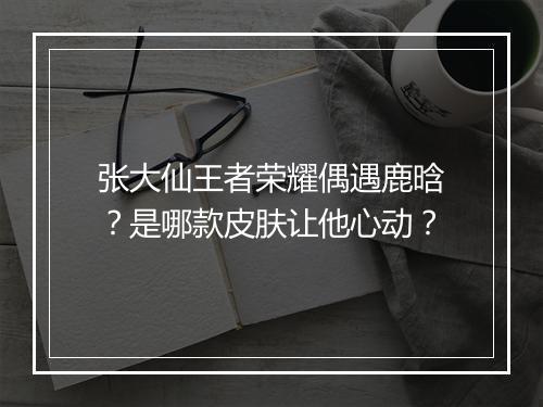 张大仙王者荣耀偶遇鹿晗？是哪款皮肤让他心动？