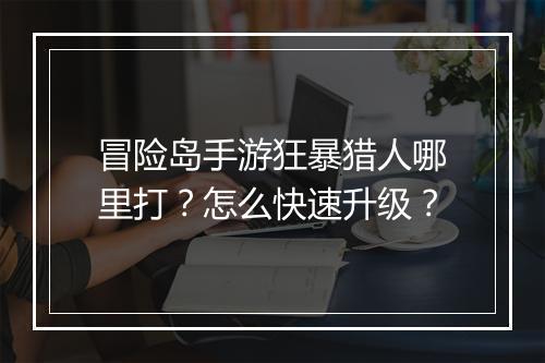 冒险岛手游狂暴猎人哪里打？怎么快速升级？